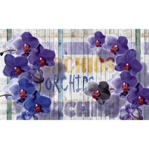 Fototapeta, Tapeta Fialové květiny Orchidej, (104 x 70.5 cm)