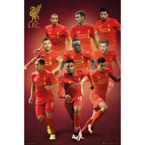 Plakát, Obraz - Liverpool - Players 16/17, (61 x 91,5 cm)