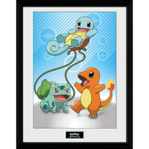 Obraz na zeď - Pokemon - Kanto Starter