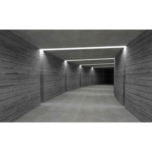 Fototapeta, Tapeta Tunel, (254 x 184 cm)