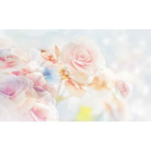 Fototapeta, Tapeta Květy, růže, pastelové barvy, (368 x 254 cm)