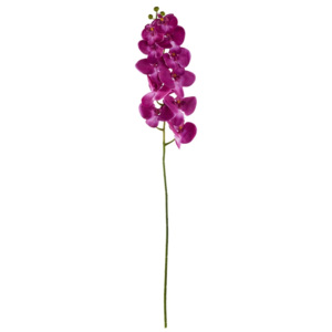 FLORISTA Orchidej - růžová