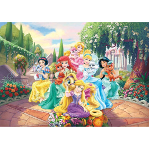 Fototapeta, Tapeta Disney Princezna Locika, Ariel, (254 x 184 cm)