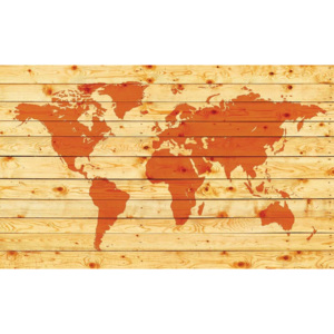 Fototapeta, Tapeta Mapa světa na dřevených deských, (368 x 254 cm)