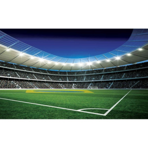 Fototapeta, Tapeta Fotbalový stadion, (312 x 219 cm)