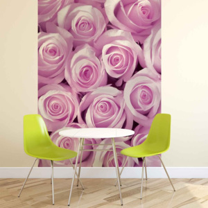 Fototapeta, Tapeta Růžová růže, (211 x 90 cm)