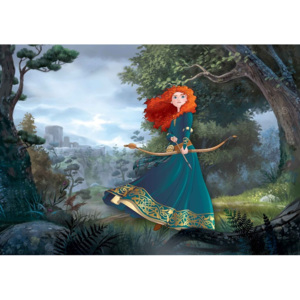 Fototapeta, Tapeta Disney princezny Merida Rebelka, (416 x 254 cm)