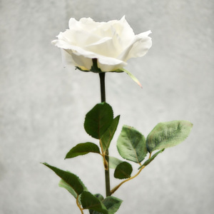 FLORISTA Růže 64 cm - krémová