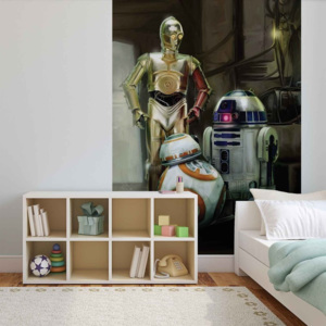 Fototapeta, Tapeta Star Wars Droids, (211 x 90 cm)