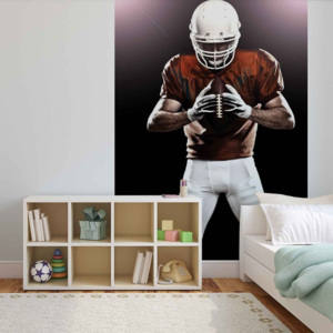 Fototapeta, Tapeta Hráč amerického fotbalu, (184 x 254 cm)