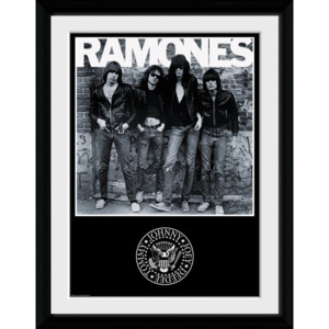 Obraz na zeď - The Ramones - Album