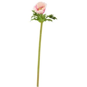 FLORISTA Sasanka 36 cm - sv. růžová