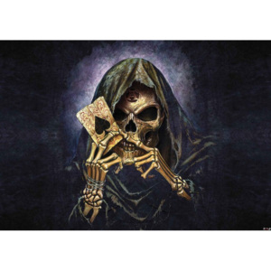 Fototapeta, Tapeta Lebka smrti Ace Alchemy, (254 x 184 cm)