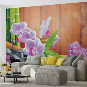 Fototapeta, Tapeta Květiny, Orchidej, Zen, (211 x 90 cm)