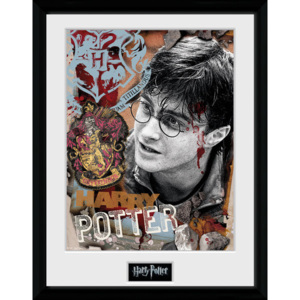 Obraz na zeď - Harry Potter - Harry Potter