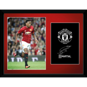 Obraz na zeď - Manchester United - Martial 16/17