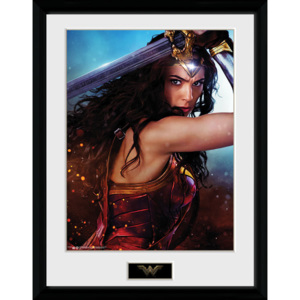 Obraz na zeď - Wonder Woman - Defend