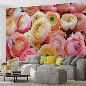 Fototapeta, Tapeta Růžové květiny, barevné pivoňky, (211 x 90 cm)
