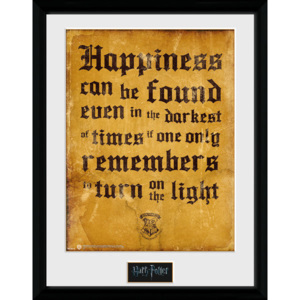 Obraz na zeď - Harry Potter - Happiness Can Be