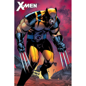 Plakát, Obraz - X-Men - Wolverine Berserker Rage, (61 x 91,5 cm)