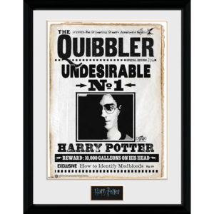 Obraz na zeď - Harry Potter - Quibler