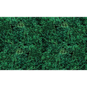 Fototapeta, Tapeta Textury trávy, (368 x 254 cm)