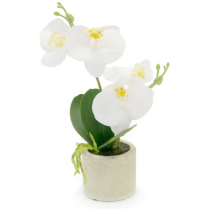 Umělá květina orchidea bílá, 26,8 cm, Autronic