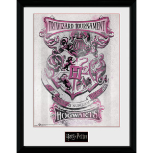 Obraz na zeď - Harry Potter - Triwizard Hogwarts