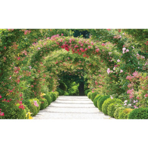 Fototapeta, Tapeta Alej, zahrada, záhon růží, (368 x 254 cm)