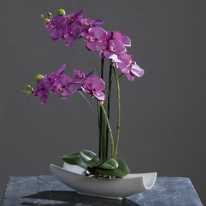 Kolouch Import Orchidea v keramické misce fialová 45cm