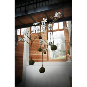 Hanging magnolia H50