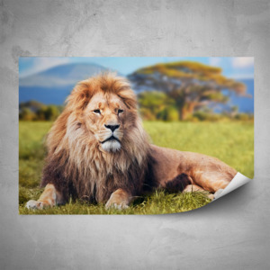 Plakát - Král zvířat (180x120 cm)