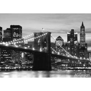 Obrazová tapeta FTS 0199, Brooklynský most černobílý, AG Design, rozměry 360 x 254 cm