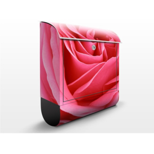 Poštovní schránka s potiskem Pink Rose
