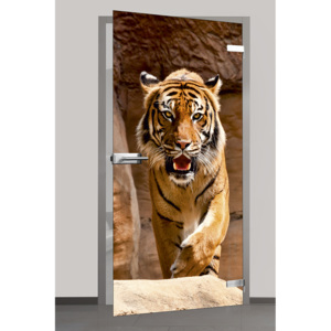 Celoskleněné dveře - Tygr