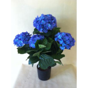 Kolouch Import Hortensie 53x12cm Barva: modrá