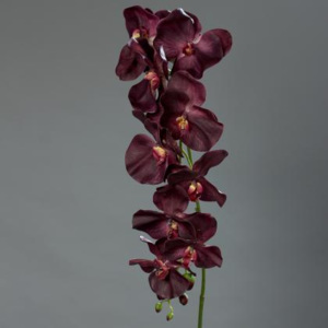Kolouch Import Orchidea 10 květů 153cm Barva: fialová