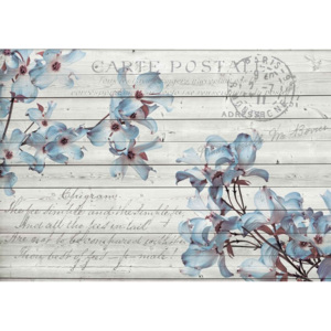 Fototapeta, Tapeta Vzor květiny, dřevo, (312 x 219 cm)
