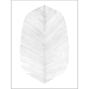 Plakát White Feather 50x70 cm