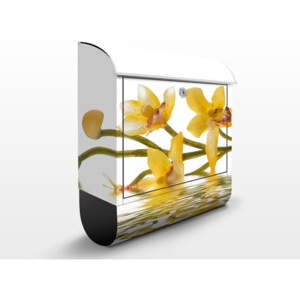 Poštovní schránka s potiskem Saffron Orchid Waters