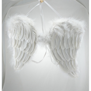 Andělská křídla peří 41x41cm