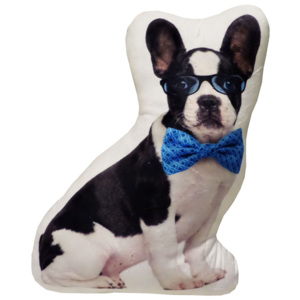 My Best Home Polštářek Animal - Pes s brýlemi