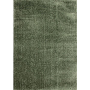 Luxusní kusový koberec Lineas zelený, Velikosti 80x150cm