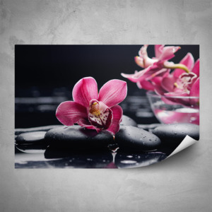 Plakát - Květy orchideje (60x40 cm)