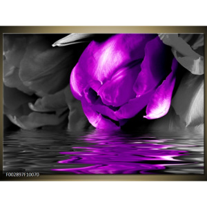 Obraz Tulipány na vodě - fialová