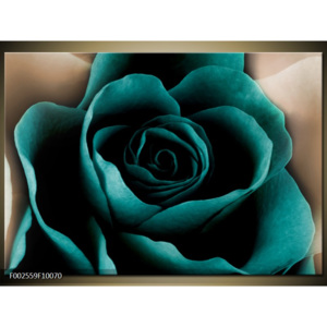 Obraz Růže - tyrkysová
