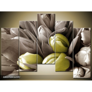 Obraz Tulipány shora - hnědá a žlutá