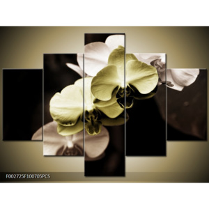 Obraz Orchideje - krémová a žlutá