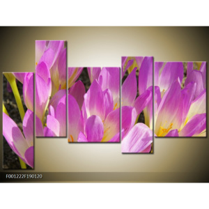 Obraz fialové květiny provance