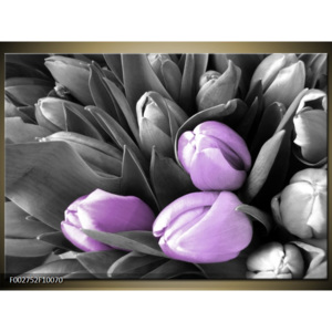 Obraz Tulipány shora - černobílá a fialová